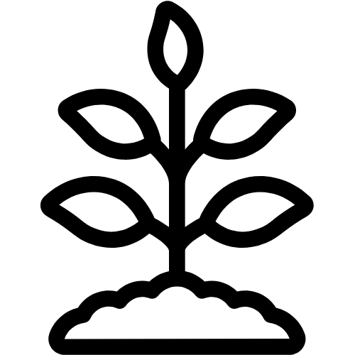 feature-item-2
